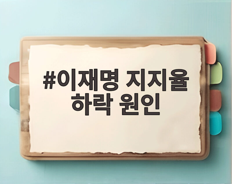 이재명 지지율 하락 원인 공소취소 논란과 지방 박탈감 1 이재명 지지율 하락 원인