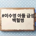 이수영 아들 급성 백혈병 진단 라디오 DJ 잠정 중단 소식 이수영 아들 급성 백혈병