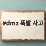 dmz 폭발 사고 원인은 북한군 지뢰였다 어떻게 확인됐나 dmz 폭발 사고