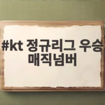 kt 정규리그 우승 매직넘버 소멸 현장 5년 만에 확정된 1위 kt 정규리그 우승 매직넘버