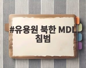 유용원 북한 MDL 침범