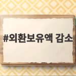 외환보유액 감소가 뜻하는 것 9월 17억 달러 줄어든 이유 외환보유액 감소