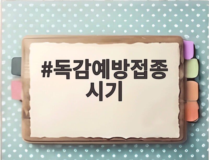 독감예방접종 시기 놓치지 말아야 하는 이유와 연령별 접종 일정 1 독감예방접종 시기