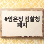 임은정 검찰청 폐지 발언이 남긴 숙제와 새 중수청의 출발 임은정 검찰청 폐지