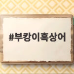 부캉이흑상어 부산 북항 수로 상어 닷새째 목격 최신 상황 정리 부캉이흑상어