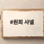 원희 샤넬
