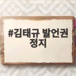 김태규 발언권 정지와 국감 고성 논란 총정리 김태규 발언권 정지
