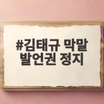김태규 막말 발언권 정지 국감에서 무슨 일이 있었나 김태규 막말 발언권 정지