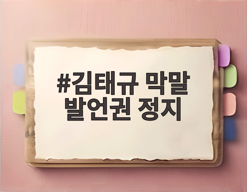 김태규 막말 발언권 정지 국감에서 무슨 일이 있었나 1 김태규 막말 발언권 정지