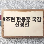 조현 한동훈 국감 신경전 답변 거부 부른 쥐 잡듯 발언 조현 한동훈 국감 신경전