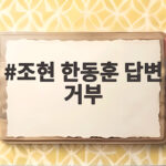 조현 한동훈 답변 거부 국감 현장에서 무슨 일이 있었나 조현 한동훈 답변 거부