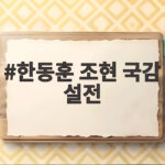 한동훈 조현 국감 설전 팽팽했던 외통위 현장은 어땠나 한동훈 조현 국감 설전