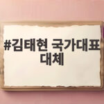 김태현 국가대표 대체