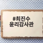 최진수 윤리감사관 국감 증언으로 본 대법원 징계와 감찰 한계 최진수 윤리감사관