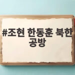 조현 한동훈 북한 공방 국정감사에서 드러난 대북 외교 쟁점 조현 한동훈 북한 공방