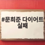 문희준 다이어트 실패 40번째 고백 비만 치료제 부작용 걱정 문희준 다이어트 실패