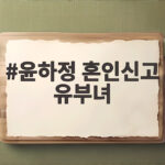 윤하정 혼인신고 유부녀 결혼식 앞두고 법적 부부 된 사연 윤하정 혼인신고 유부녀