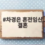 차경은 혼전임신 결혼 소식 11월 웨딩마치 이유진과 함께 차경은 혼전임신 결혼