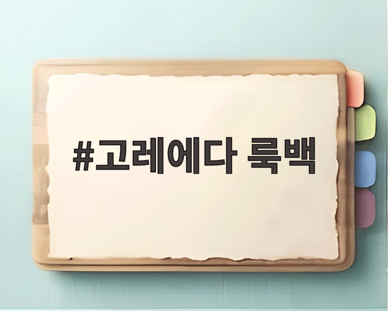 고레에다 룩백 부산에서 전한 창작의 질문과 울림 1 고레에다 룩백