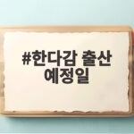 한다감 출산 예정일