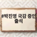 박진영 국감 증인 출석 무보수 논란과 상표권 의혹 직접 답한다 박진영 국감 증인 출석