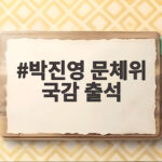 박진영 문체위 국감 출석 논란 직접 해명한 내용 총정리 박진영 문체위 국감 출석