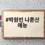 박원빈 나혼산 예능