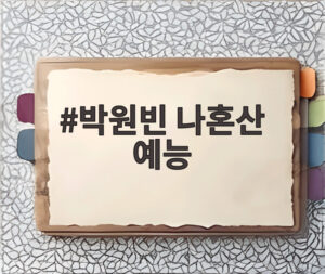 박원빈 나혼산 예능
