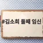 김소희 둘째 임신