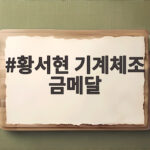 황서현 기계체조 금메달 40년 만에 일군 작은 거인의 기적 황서현 기계체조 금메달