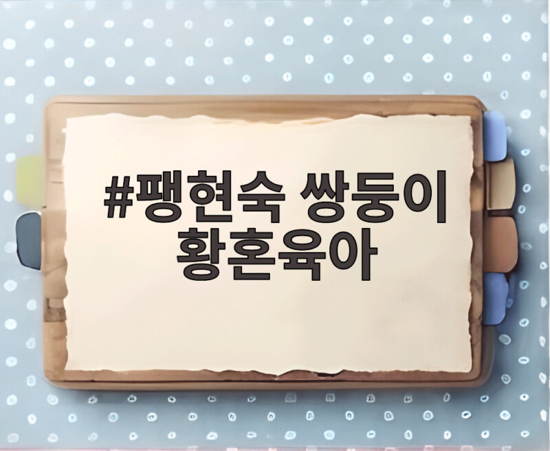 팽현숙 쌍둥이 황혼육아