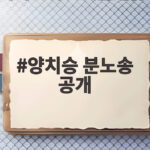양치승 분노송 공개 라디오스타 기부채납 사기 고백까지 양치승 분노송 공개