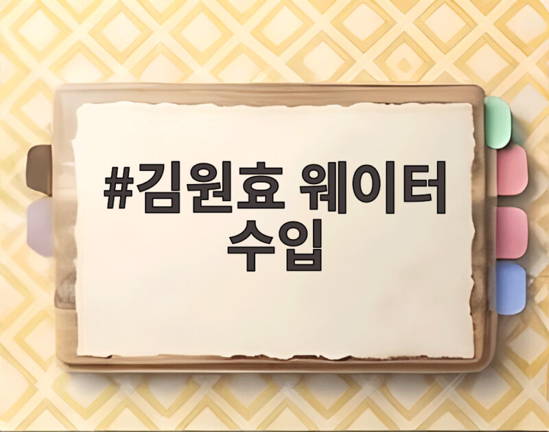 김원효 웨이터 수입