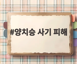 양치승 사기 피해