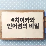 치이카와 인어섬의 비밀 왜 어른들이 열광하나요 치이카와 인어섬의 비밀