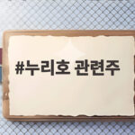 누리호 관련주 발사 성공에도 급락한 이유와 향후 전망 누리호 관련주