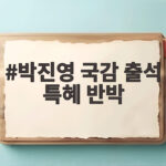 박진영 국감 출석 특혜 반박