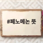 페노메논 뜻 팬이 만드는 현상과 패노메논 축제 알아보기 페노메논 뜻