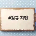 원규 지현 재결별 팬들에 직접 알린 지현의 눈물 고백 원규 지현