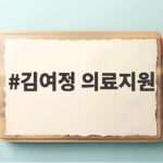 김여정 의료지원 광대극 발언으로 본 남북관계 오늘의 상황 김여정 의료지원