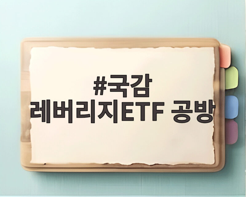 국감 레버리지ETF 공방 단일종목 도입 논란 핵심 정리 1 국감 레버리지ETF 공방