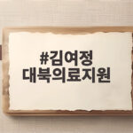 김여정 대북의료지원을 광대극이라 부른 진짜 이유 김여정 대북의료지원