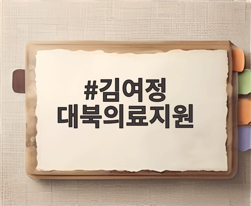 김여정 대북의료지원을 광대극이라 부른 진짜 이유 1 김여정 대북의료지원