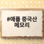 애플 중국산 메모리