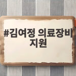 김여정 의료장비 지원