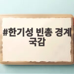 한기성 빈총 경계 국감 증언 대비태세 논란 핵심 총정리 한기성 빈총 경계 국감