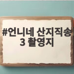 언니네 산지직송 3 촬영지 어디 통영 태안 광양 이야기 언니네 산지직송 3 촬영지