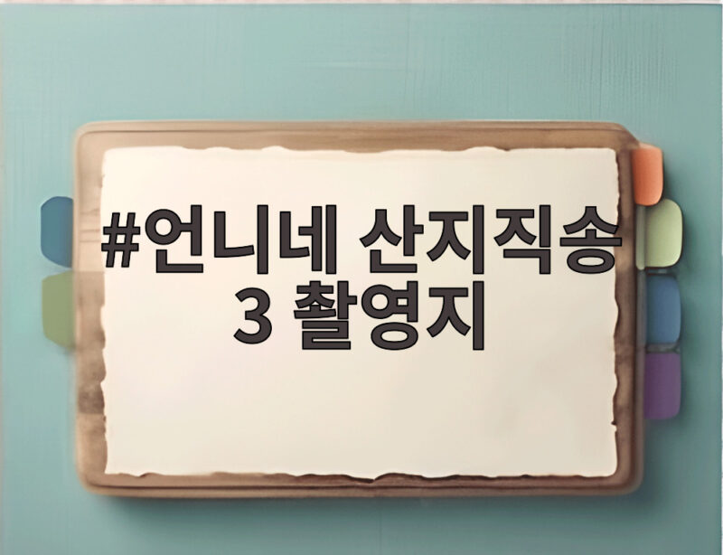 언니네 산지직송 3 촬영지 어디 통영 태안 광양 이야기 1 언니네 산지직송 3 촬영지