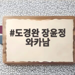 도경완 장윤정 와카남 진짜 와카남은 나만 남았다 도경완 장윤정 와카남