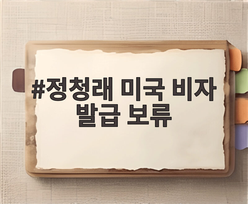 정청래 미국 비자 발급 보류 파문 한미 관계의 긴장 신호를 읽다 1 정청래 미국 비자 발급 보류